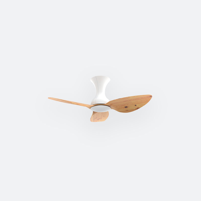 D10N Scandinavian DFY Decor Fan (NL2/T5F)