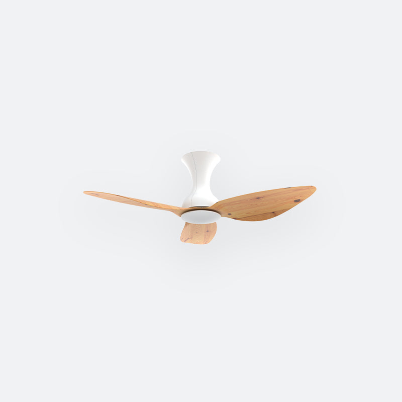 D10N Scandinavian DFY Decor Fan (NL2/T5F)