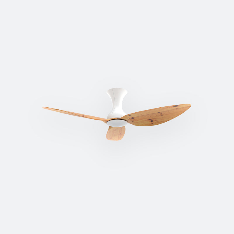 D10N Scandinavian DFY Decor Fan (NL2/T5F)