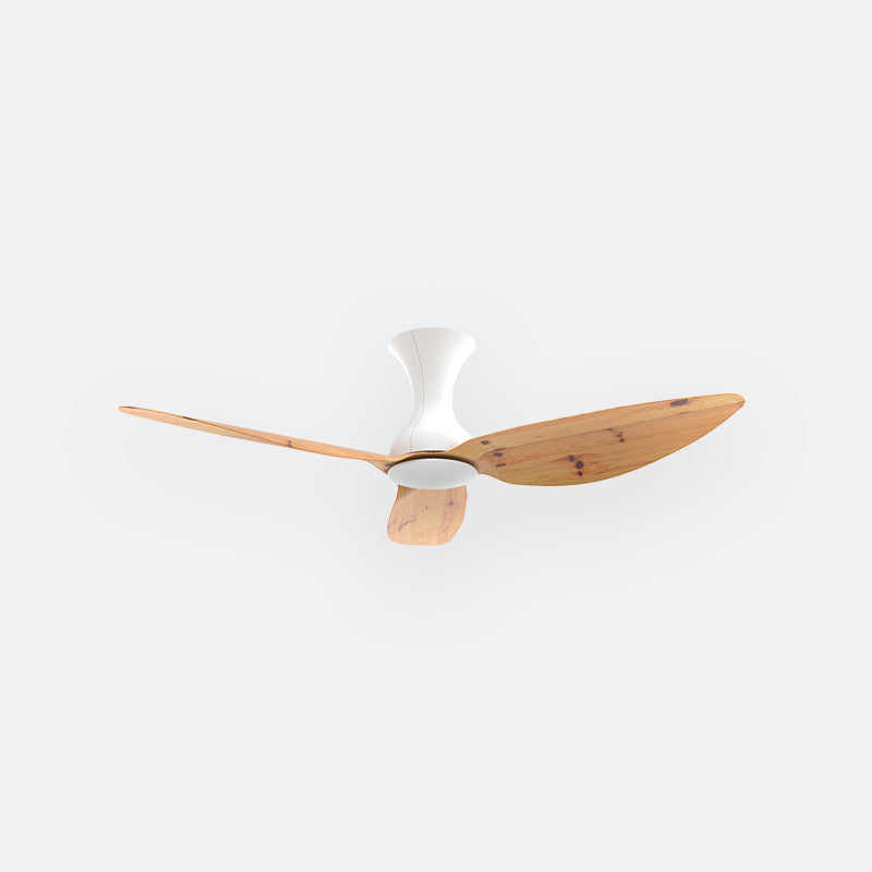 D10N Scandinavian DFY Decor Fan (NL2/T5F)