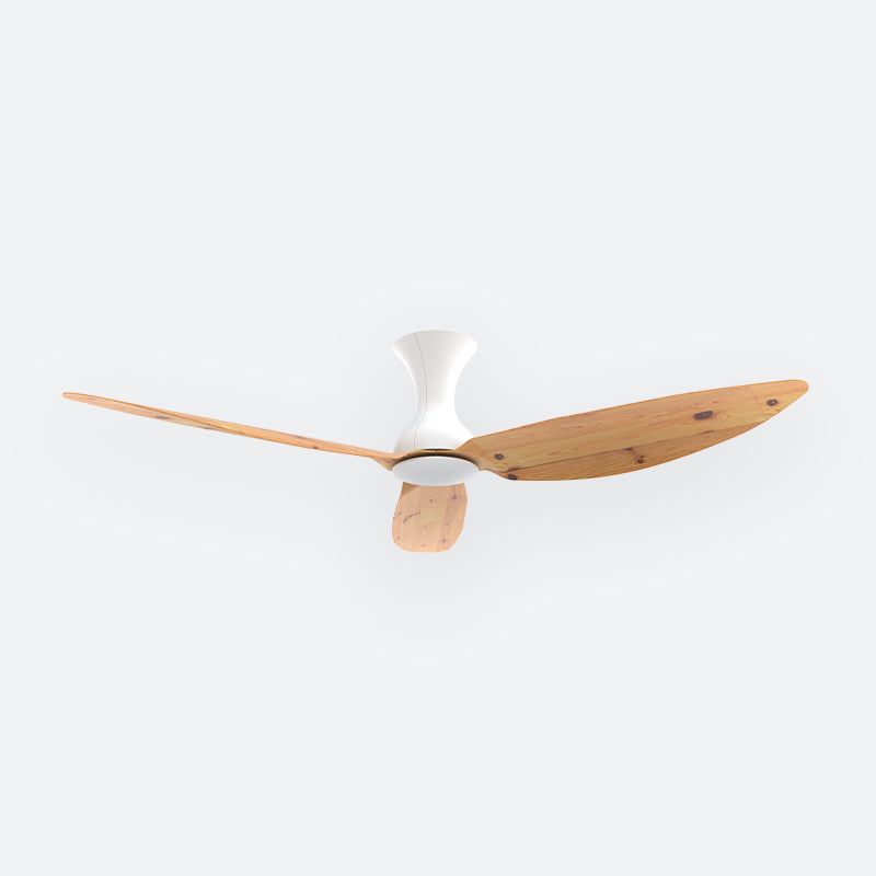 D10N Scandinavian DFY Decor Fan (NL2/T5F)