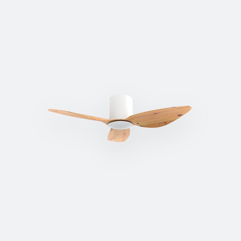 F10N Scandinavian DFY Decor Fan (NL2/T5F)