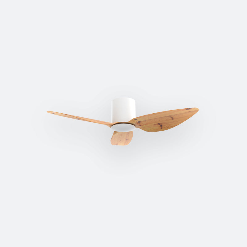 F10N Scandinavian DFY Decor Fan (NL2/T5F)