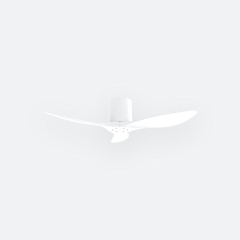 F50N Modern DFY Decor Fan (NL2/T5F)