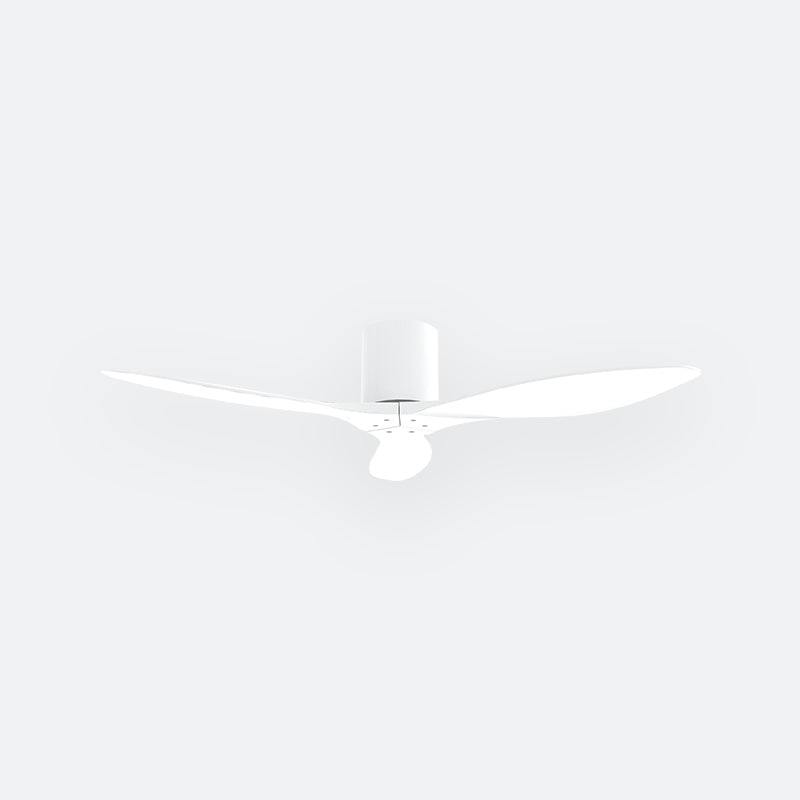 F50N Modern DFY Decor Fan (NL2/T5F)